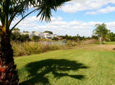 The view from the back yard