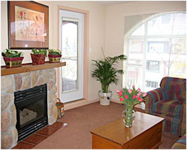 Living Area with Fireplace
