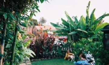 La Jolla, California, Vacation Rental House