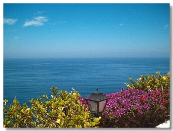 Ocean view
