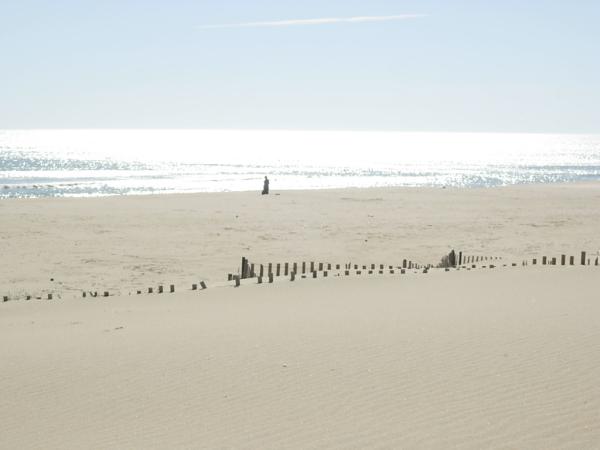 Panoramic Ocean Views