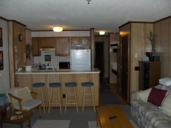 Snowshoe, West Virginia, Vacation Rental Condo