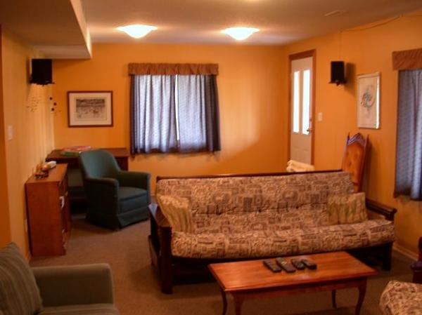 Basement TV Entertainment Room