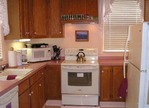 New glass top range in well-equipped kitchen