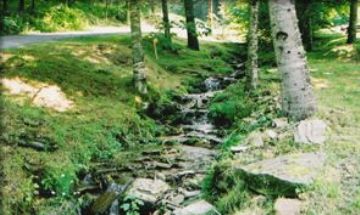 Bryson City, North Carolina, Vacation Rental Cabin