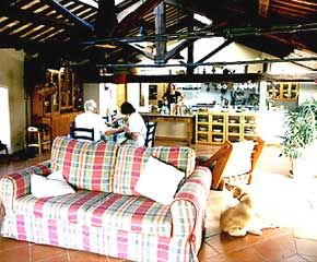 Relaxed Dining area