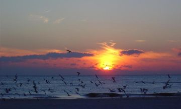 Madeira Beach, Florida, Vacation Rental House