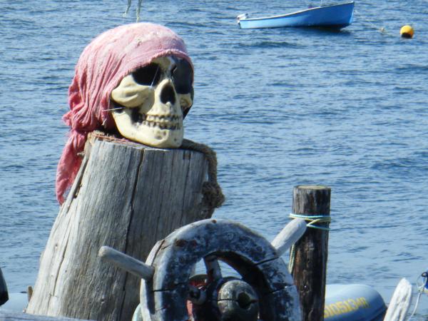 Dock Side Mascot