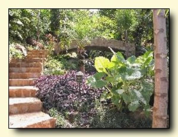 Landscaping near our private stream