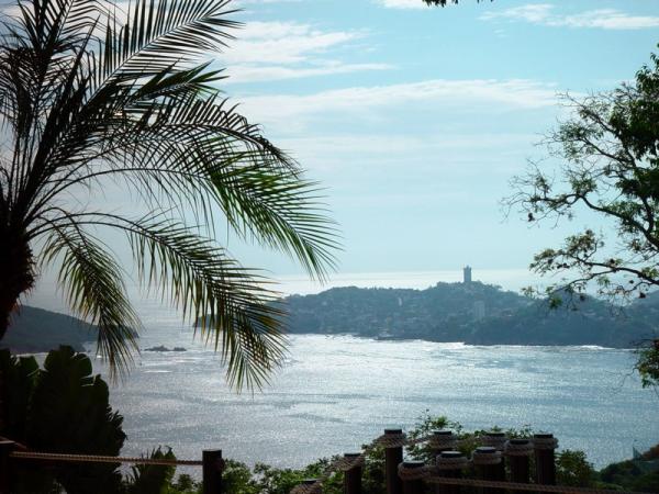 View from Dining Room