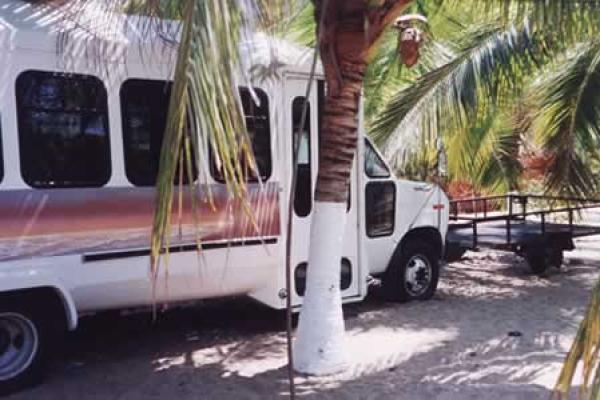 Bus