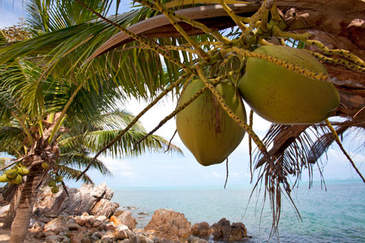 Maenam Vacation Rental Villa