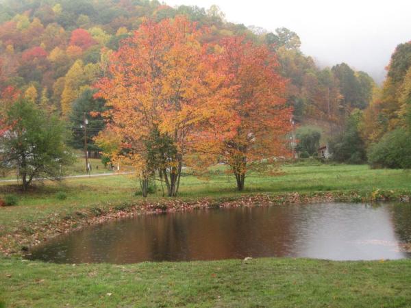 Spring Season View