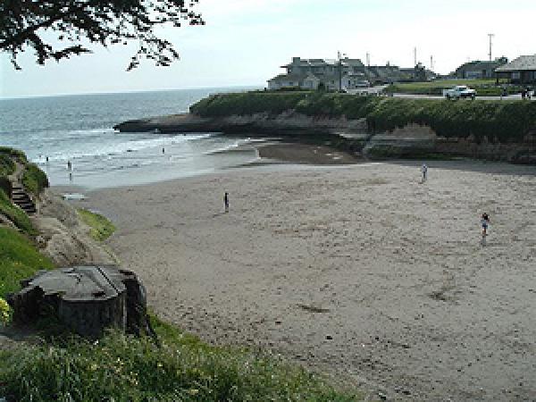 Sunny Cove Beach