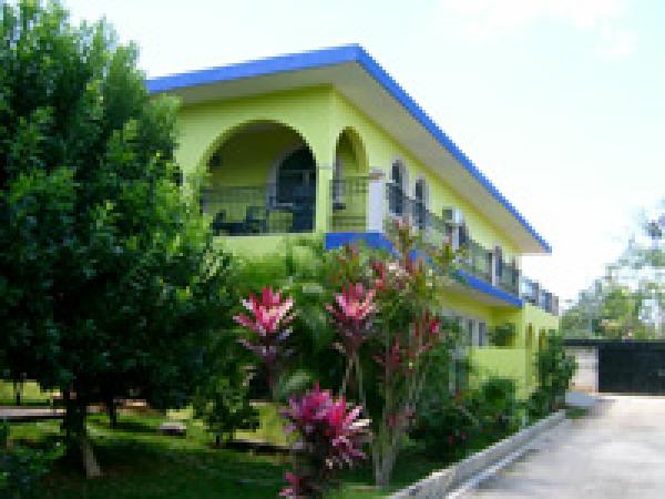 Las Tortugas 