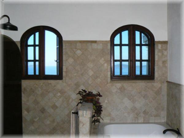 Master bath shower and jetted spa tub