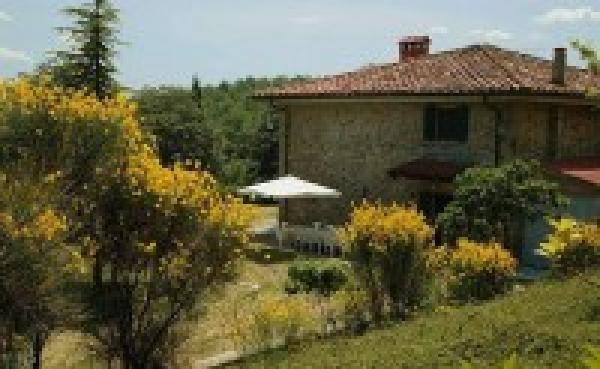 Side view with broom flowers