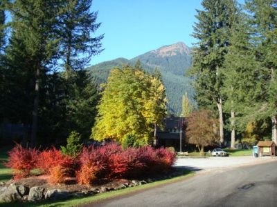 Snowline with view of mountains