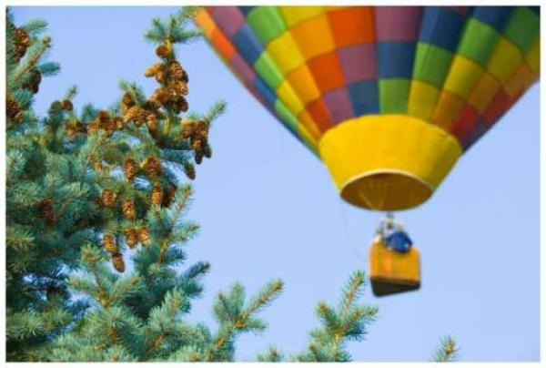 Hot air Balloon
