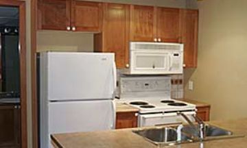 Whistler, British Columbia, Vacation Rental Condo