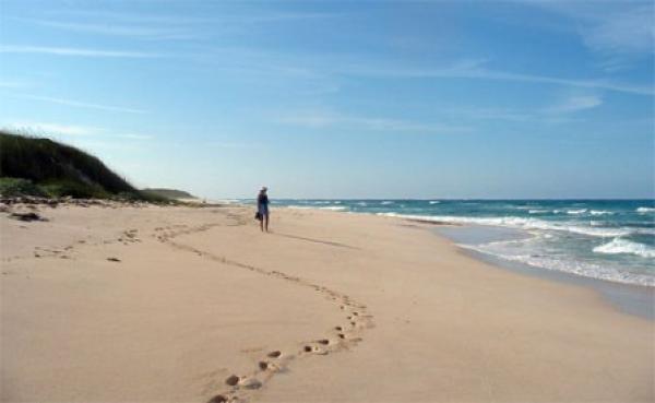 Footprints in the Sand