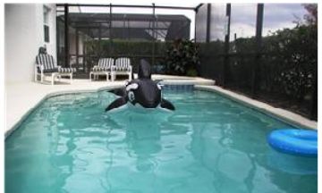 Kissimmee, Florida, Vacation Rental Villa