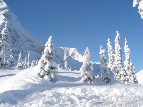 In Winter Season