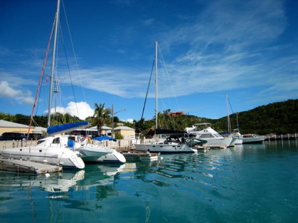 Scuba Dive boats leave our Marina daily.
