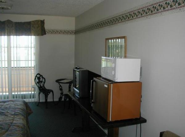 Microwave, Refrigerator, and TV