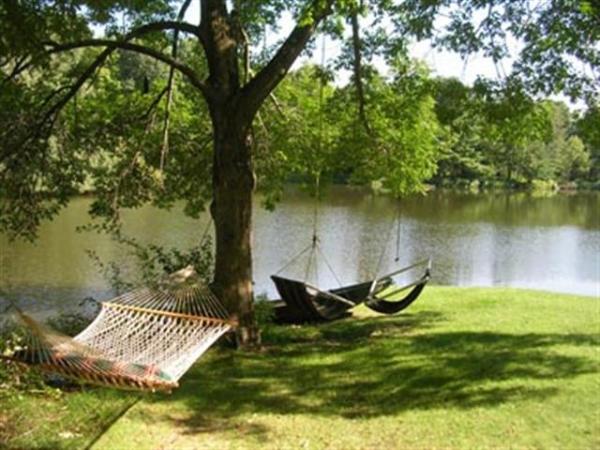 Relax Near Water