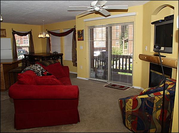 Comfortable Furnishings in the Living Room 