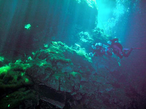 Diving View