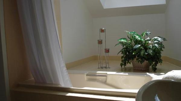 Master Bath with Skylight