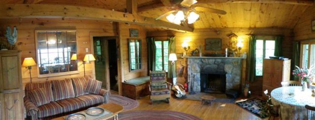 Living Area with Fireplace