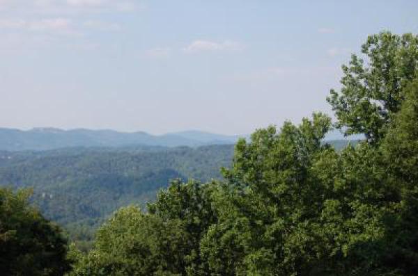 Beautiful Mountain View!