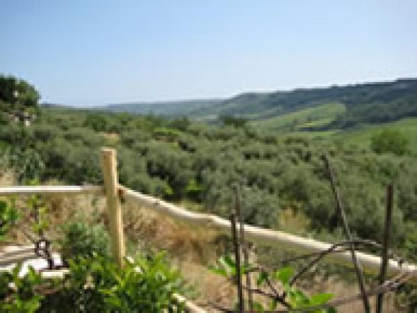 Terrace with View