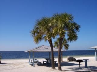 Local beach on the Gulf of Mexico