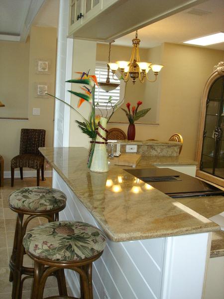 Kitchen Bar
