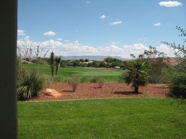 View From Back Porch