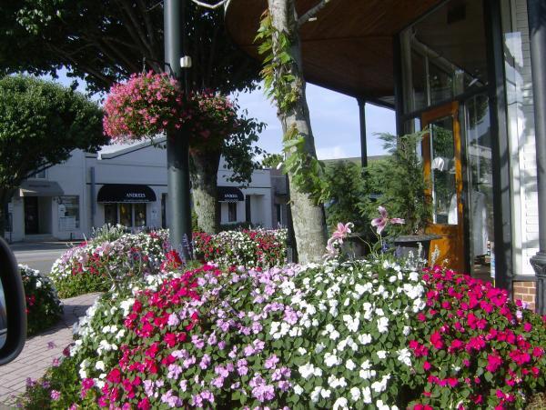 Flowers in downtown Fairhope