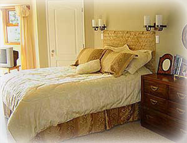 Bamboo Suite