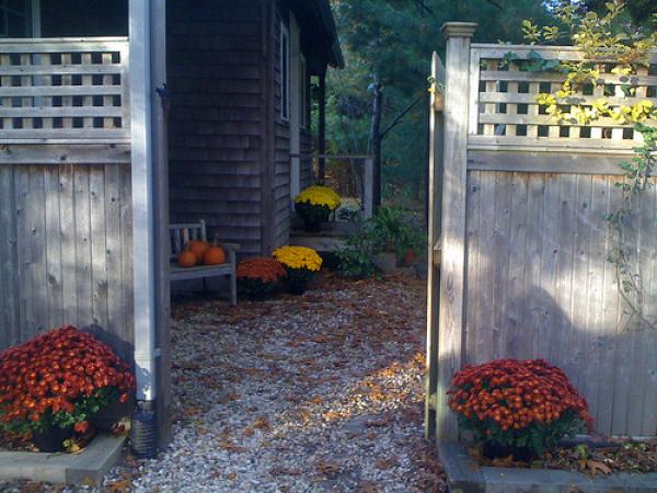 Entrance Courtyard
