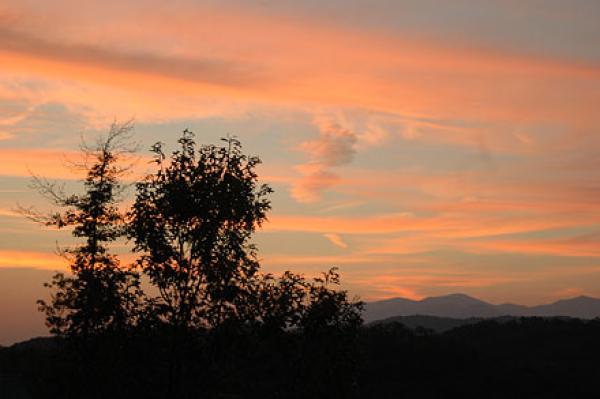 View from the Deck