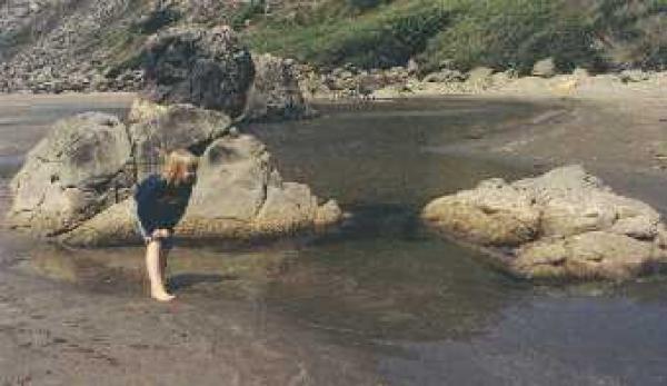 Tide Pool