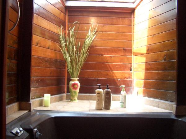 Jetted tub with double shower and skylight