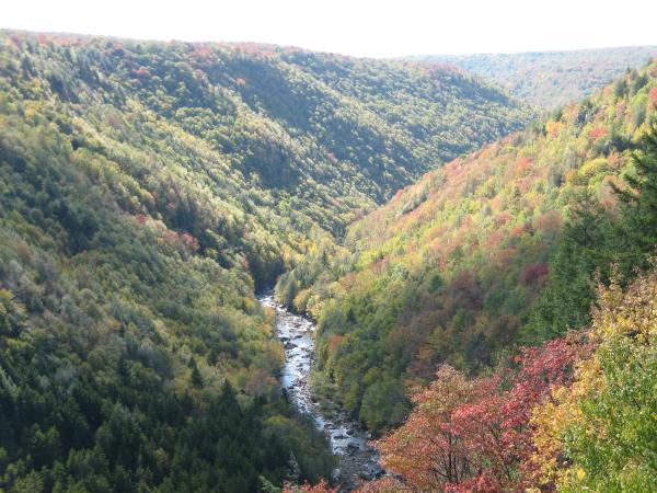 Blackwater Canyon State Park