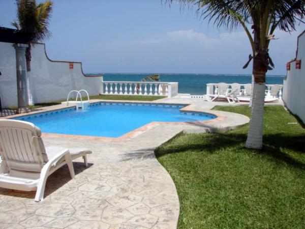 Pool And Yard