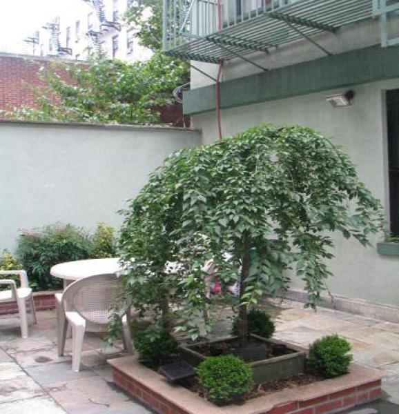 Garden Patio