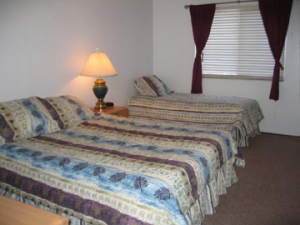 Bedroom 3