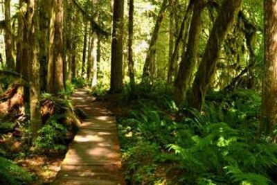 One of the many community trails